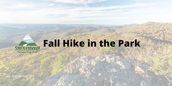 Fall Hike in the Park - Moderate Hike
