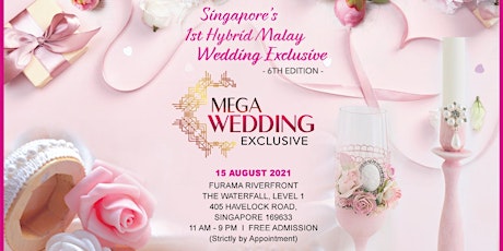 Mega Wedding Exclusive VI primary image