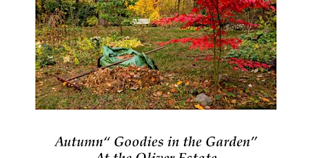 Goodies in the Gardens- September 26 -1pm primary image