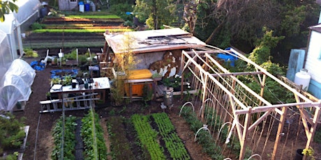 Imagem principal de 2015 Urban Farming Certificate Program: Food Skills in Action-Module 2