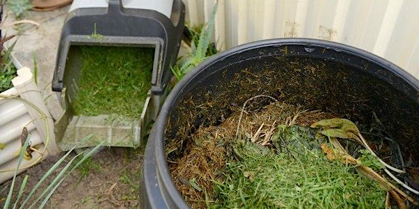 Webinar - Worm farming and composting - December 2021