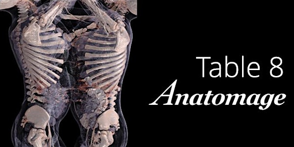 Anatotalks: new Anatomage Table 8 is now available