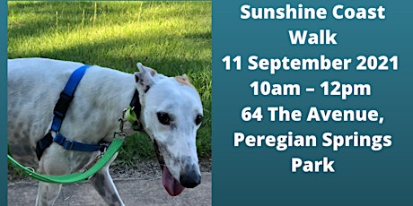 Greyhound Adoption Program Sunshine Coast Walk primary image
