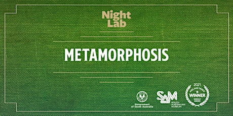 Night Lab: Metamorphosis primary image