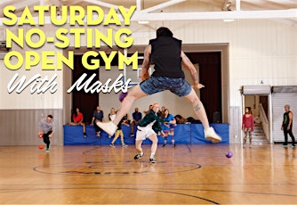 Saturday No-Sting Open Gym (w/ Masks) primary image