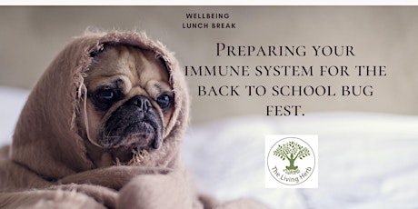 Preparing your immune system for the back to school bug fest.
