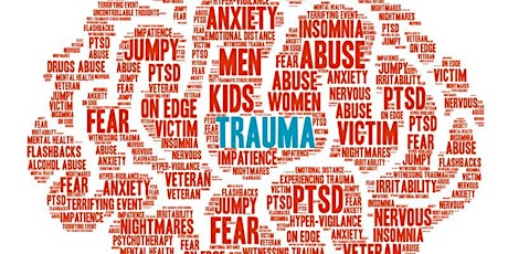 Hauptbild für Trauma Informed Practice Training (CPD Accredited)