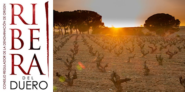 Eine Reise durch die Weinregion Ribera del Duero - von West nach Ost