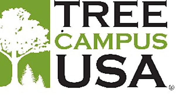 FIELD WORK Tree Campus USA  November 20, 2015