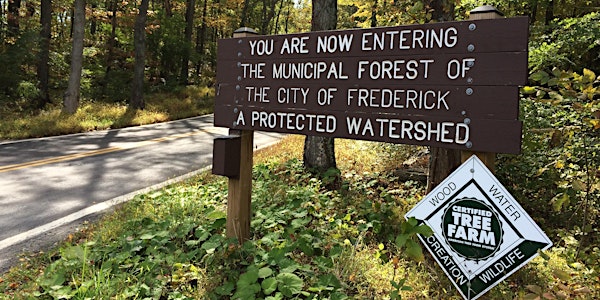 Walk in the Woods: Frederick Municipal Forest