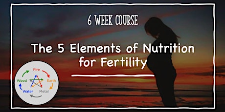 The 5 Elements of Nutrition for Fertility tickets