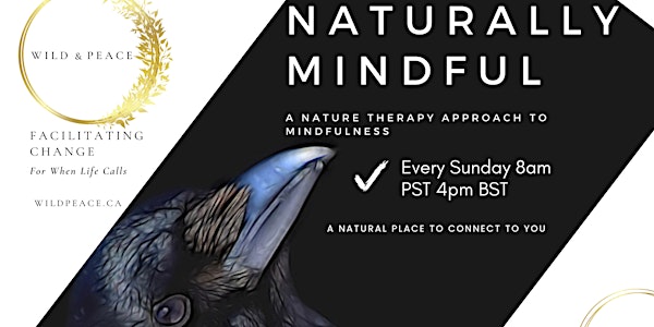 Naturally Mindful  - Weekly Nature Based Mindfulness Class