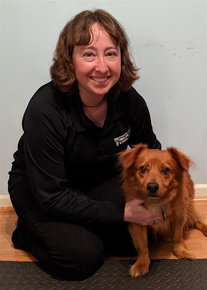  Pet Responsibility with Charlotte Mecklenburg Animal Care and Control image 