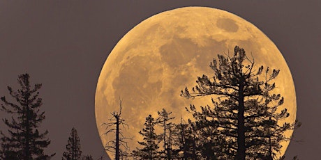 Image principale de Envoi de Reiki à la pleine lune