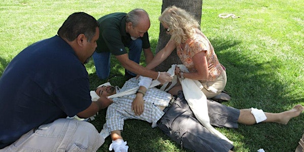 American Red Cross-Wilderness and Remote First Aid by First Aid Gone Wild
