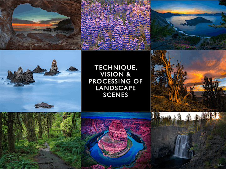 
		Technique, Vision and Processing of Landscape Scenes by Nic Stover image
