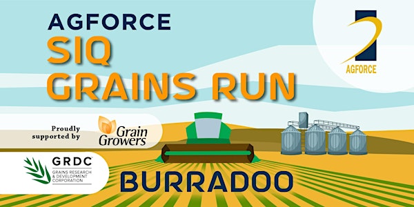 SIQ Grains Run - Burradoo
