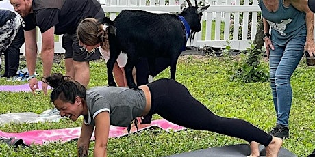 Athleta Halloween Goat Yoga