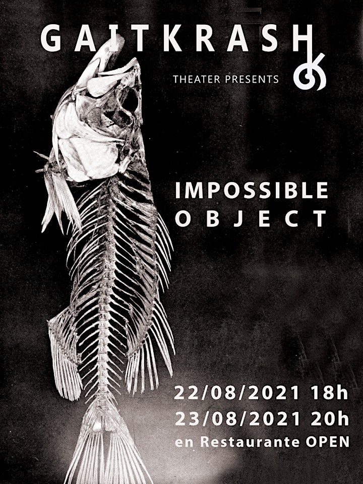 Imagen de Proyecto Teatro Experimental - Impossible Object (Irlanda) + charla