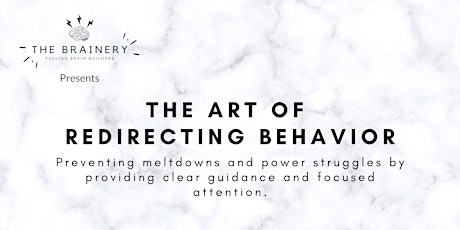 The Art of Redirecting Behavior presented by The Brainery