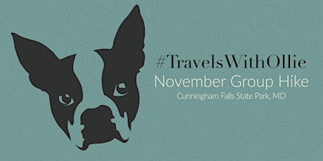 #TravelWithOllie: November Group Hike