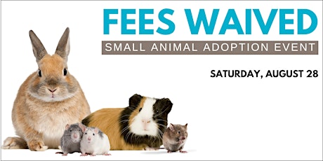 Fees Waived: Small Animal Adoption Event primary image