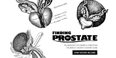 Image principale de Finding Prostate