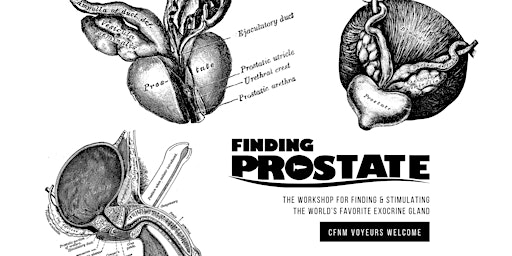 Image principale de Finding Prostate