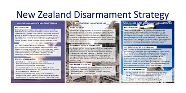 Disarmament strategy discussion with Minister