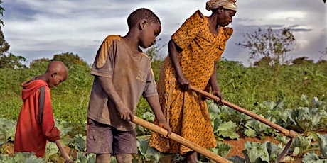 Nigeria's Potential in Family Farming - Round Table, Screening, Exhibition primary image