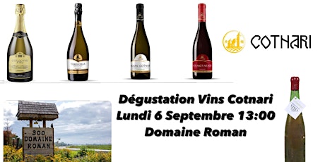 Dégustation Vins Cotnari  - Domaine Roman - Lundi 6 Septembre 13:00 primary image