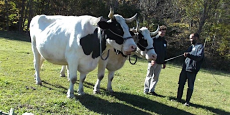 PASA Field Day: Happy Animals Work for a Living II primary image