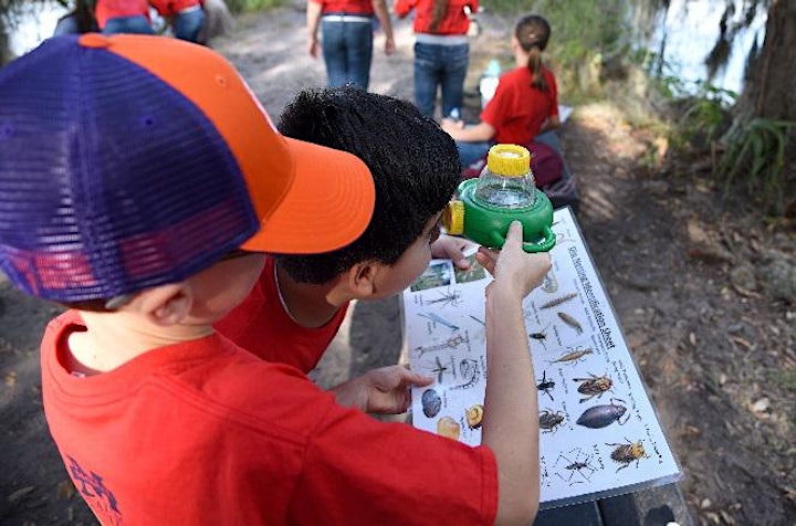 2021- 2022 Water, Wildlife, and Wilderness Field Studies (Grades 3- 5) image