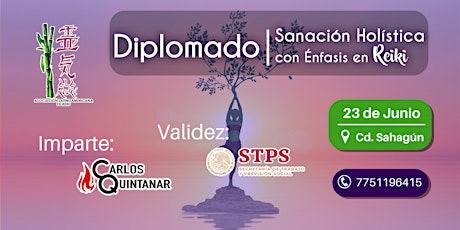 Imagen principal de Diplomado en Sanación Holística con Énfasis en Reiki| Pachuca y ONLINE