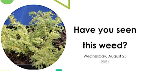 New tool to ID Weeds in your Nursery primary image