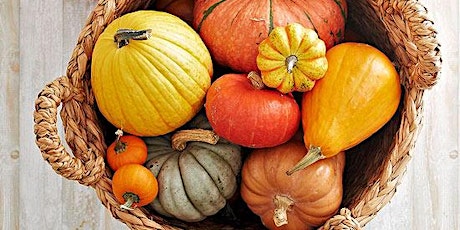 All About Winter Squash primary image