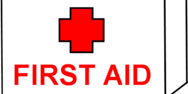 Child Care First Aid/CPR