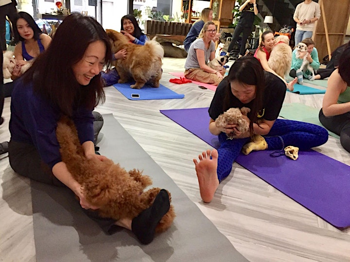 Doga: Yoga With Your Dogs! - LAP  |  Calioo Beach Food Festival image