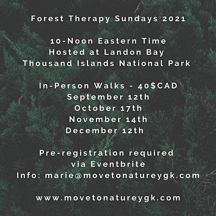 Sunday Forest Therapy Walks at Landon Bay image