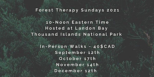 Sunday Forest Therapy Walks at Landon Bay