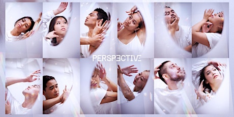 Novel Movement Presents: Perspective primary image