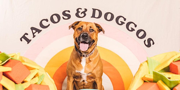 ZilkerBark's Tacos and Doggos