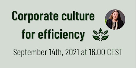 Corporate culture for efficiency - CSC Consulting webinar  primärbild