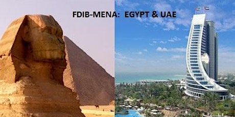 FDIB-MENA primary image