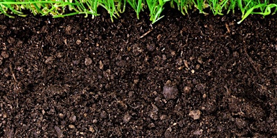 Getting to Know Your Soil - Part 2