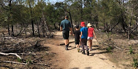 Junior Ranger – A very big bushwalk! Terrick Terrick National Park primary image