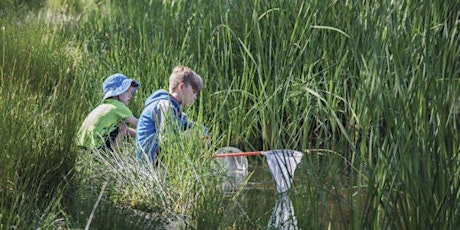 Junior Ranger – Slaty Creek Adventure – Creswick Regional Park primary image