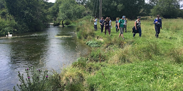 Aquatic Plants 2022 (Second Date)