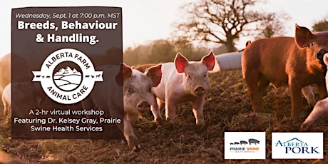 Small-Scale Swine Webinar Series - Alberta Farm Animal Care & AB Pork