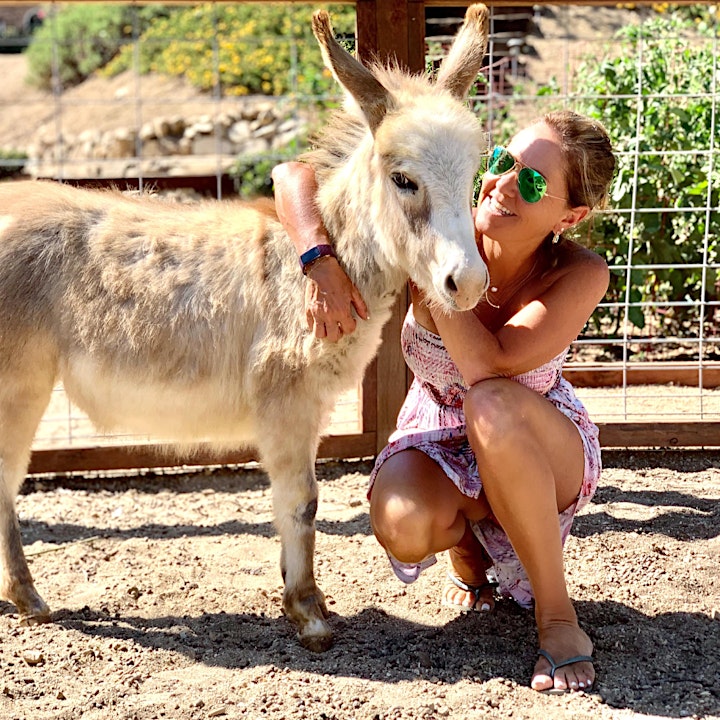 Baby Goat Yoga: Play with Baby Goats, Mini Donkey, Chickens and Pig! image